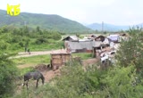 Скрийншот