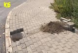 Скрийншот
