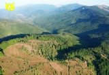 Скрийншот