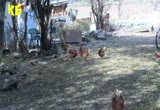 Скрийншот