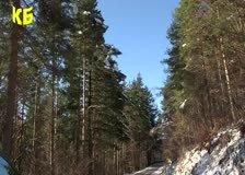 Какво време ни очаква през януари?