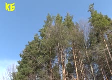 Очакват се първите сделки със земеделски земи, след падане на мораториума