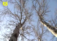 На 29 март преминаваме към лятното часово време