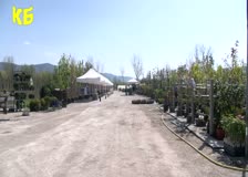 Утре в 11 часа официално ще бъде открит градинския център "Ню плант БГ"