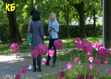 Ботевград се подготвя за шестото издание на фестивала за здравословен начин на живот "Здравей, здраве"