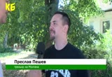 Скрийншот