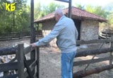 Скрийншот